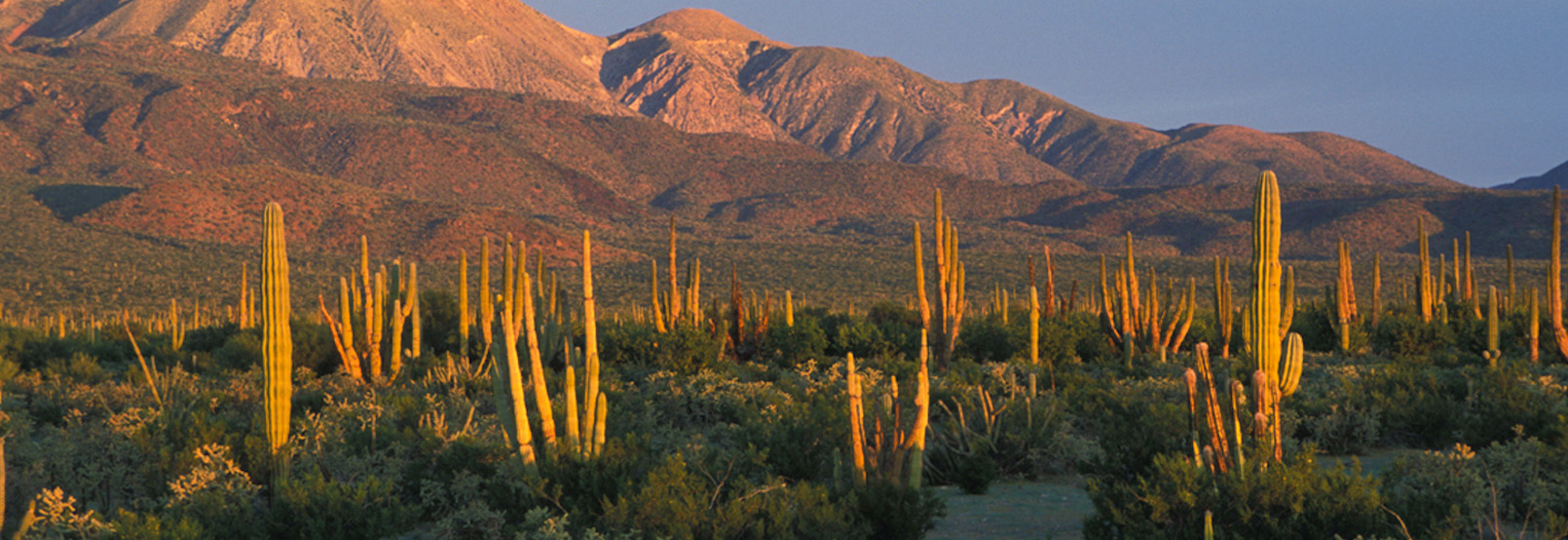 Maravillas naturales en Baja California Sur